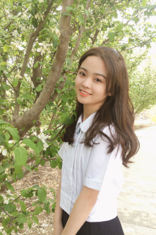 厨房春潮莲花坐顶
